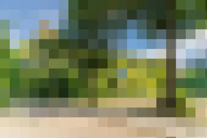 Baltesakker 12 Eindhoven thumbnail 39