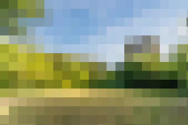 Baltesakker 12 Eindhoven thumbnail 40