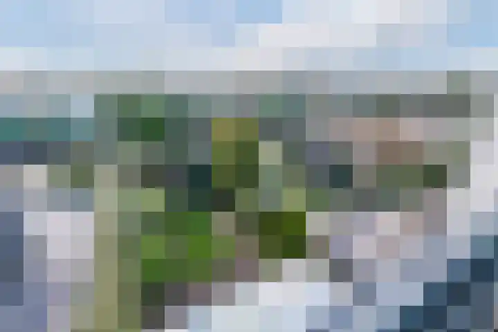 Banckspolder 60 Hoofddorp thumbnail 35