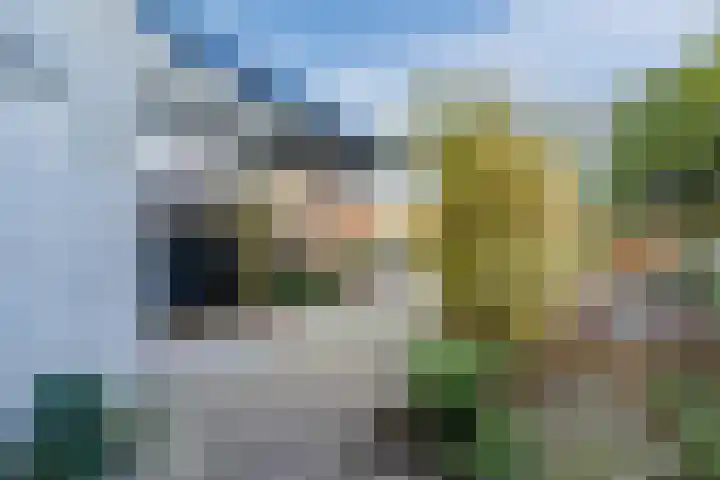 Banckspolder 60 Hoofddorp thumbnail 40