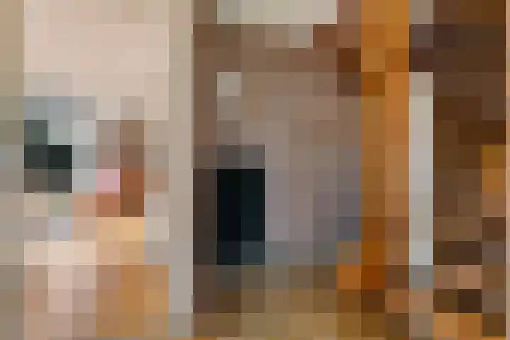 Banderschulte 4 Rolde thumbnail 10