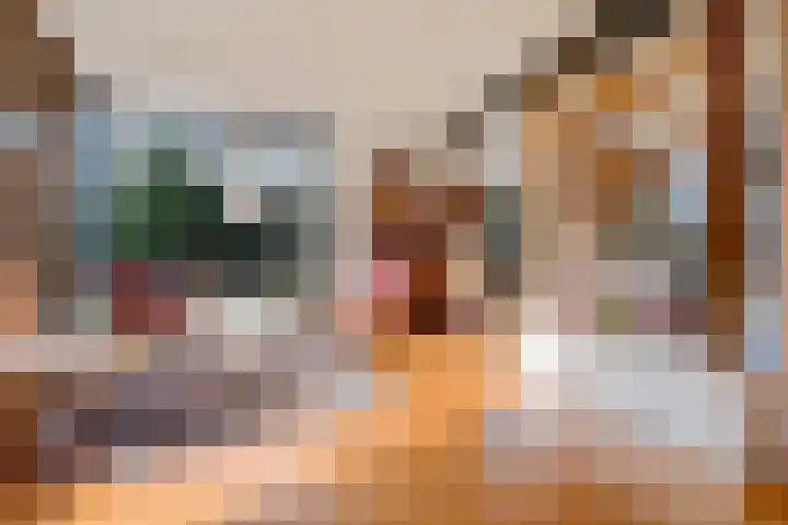 Banderschulte 4 Rolde thumbnail 11