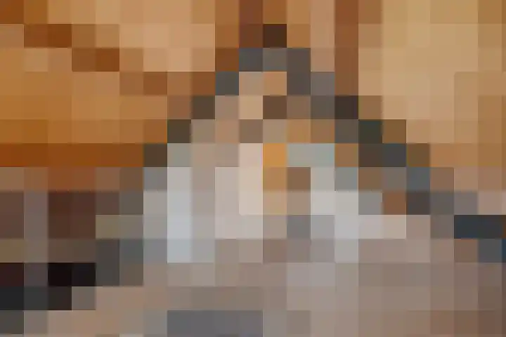 Banderschulte 4 Rolde thumbnail 35