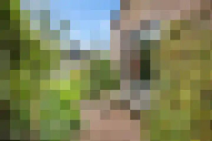 Banderschulte 4 Rolde thumbnail 45