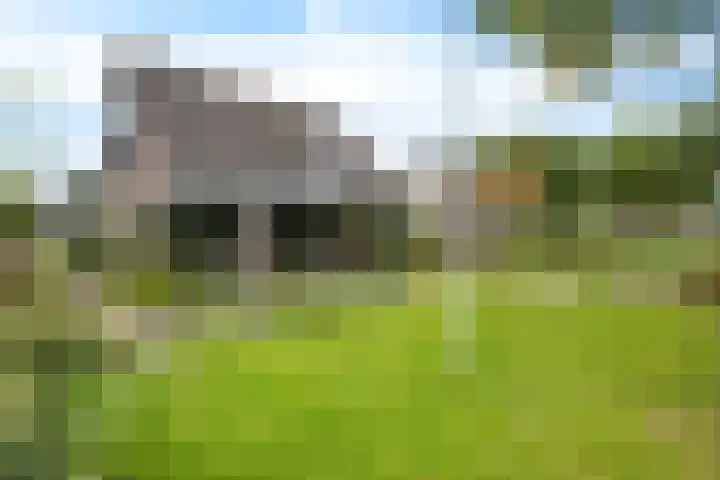 Banderschulte 4 Rolde thumbnail 47