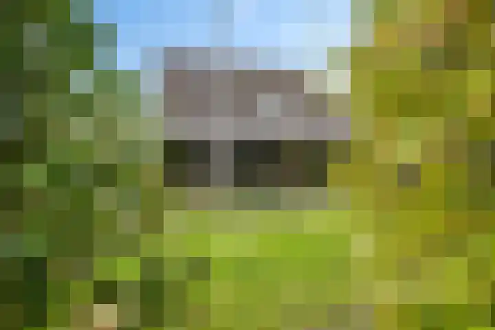 Banderschulte 4 Rolde thumbnail 48