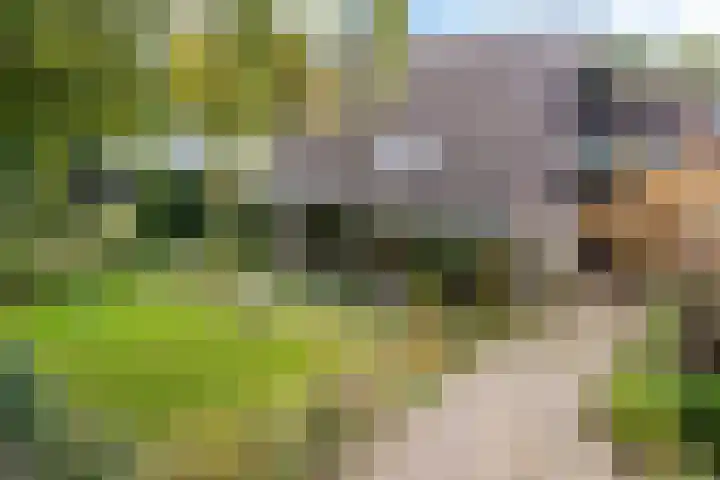 Banderschulte 4 Rolde thumbnail 49