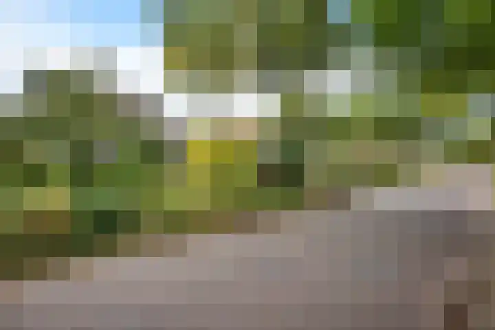 Banderschulte 4 Rolde thumbnail 52