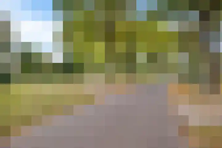 Banderschulte 4 Rolde thumbnail 53