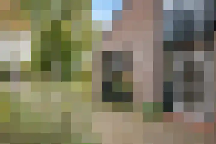 Banderschulte 4 Rolde thumbnail 6