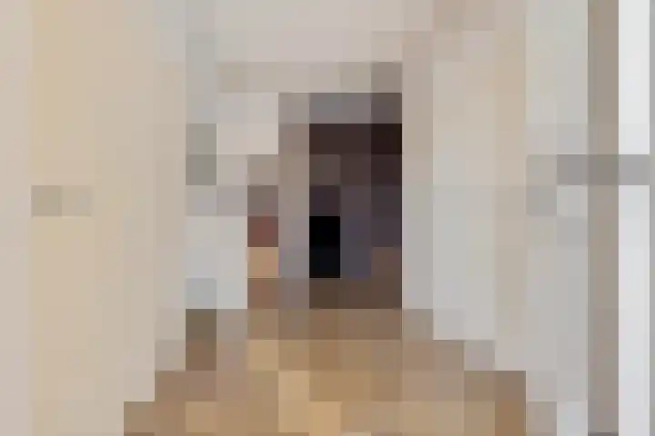 Banderschulte 4 Rolde thumbnail 7