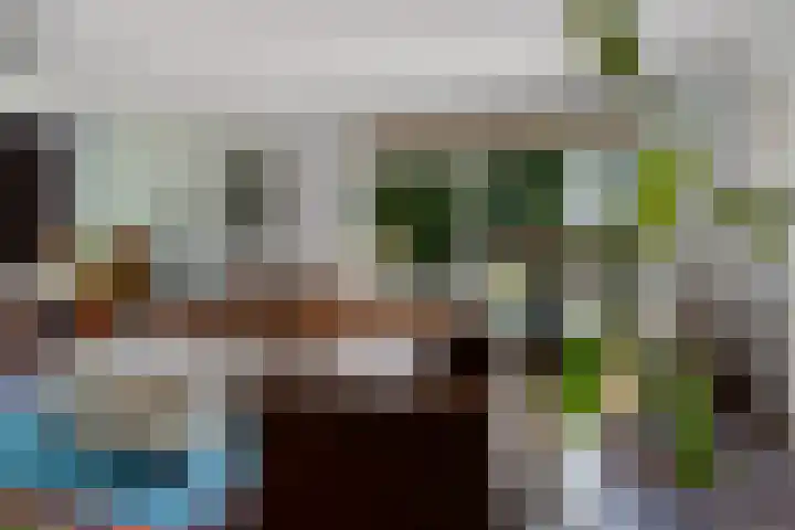 Banderschulte 9 Rolde thumbnail 13