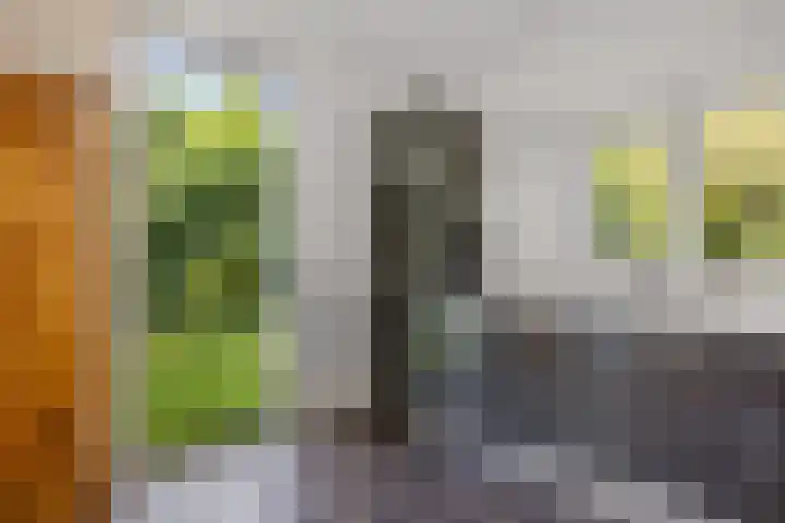Banderschulte 9 Rolde thumbnail 22