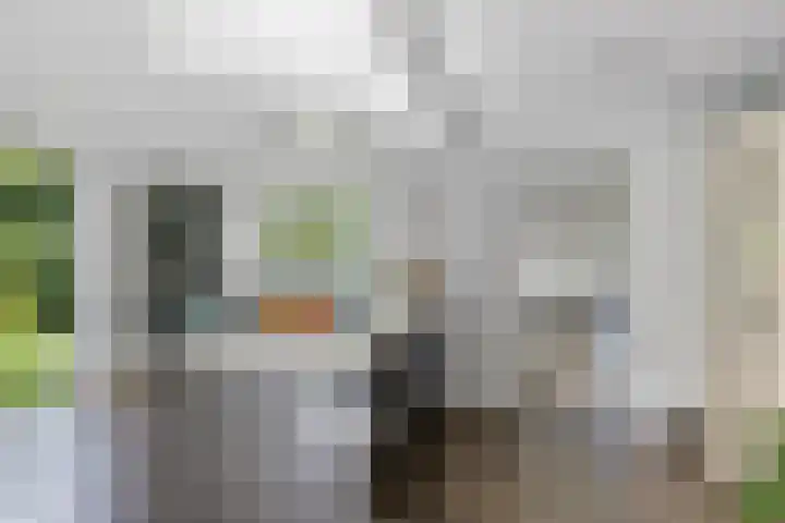 Banderschulte 9 Rolde thumbnail 23
