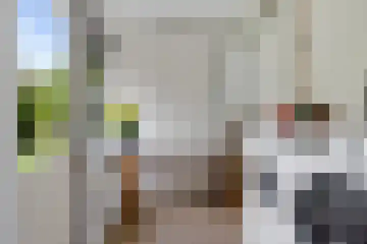 Banderschulte 9 Rolde thumbnail 24