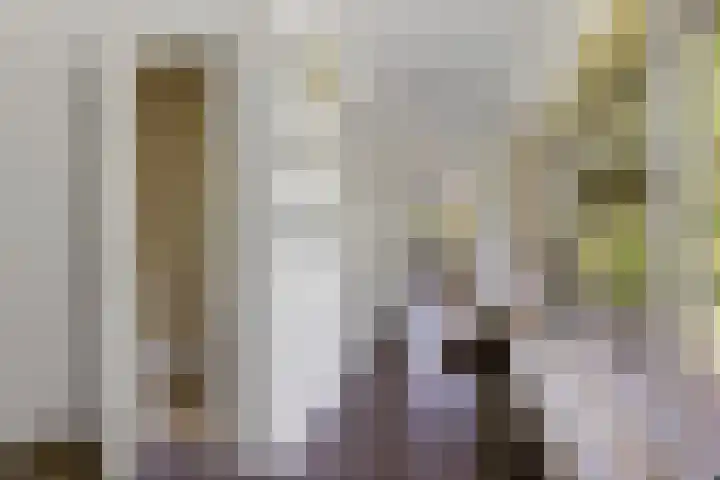 Banderschulte 9 Rolde thumbnail 26