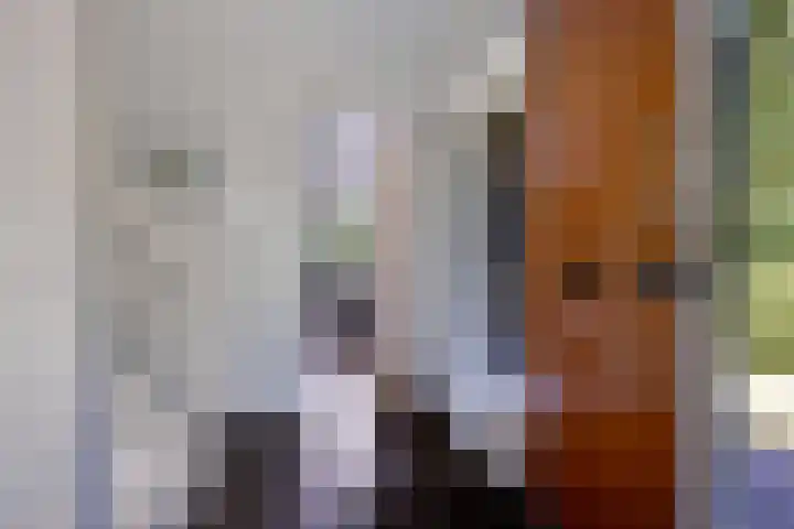 Banderschulte 9 Rolde thumbnail 28