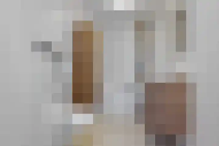 Banderschulte 9 Rolde thumbnail 33