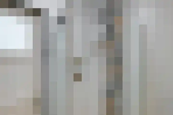 Banderschulte 9 Rolde thumbnail 34