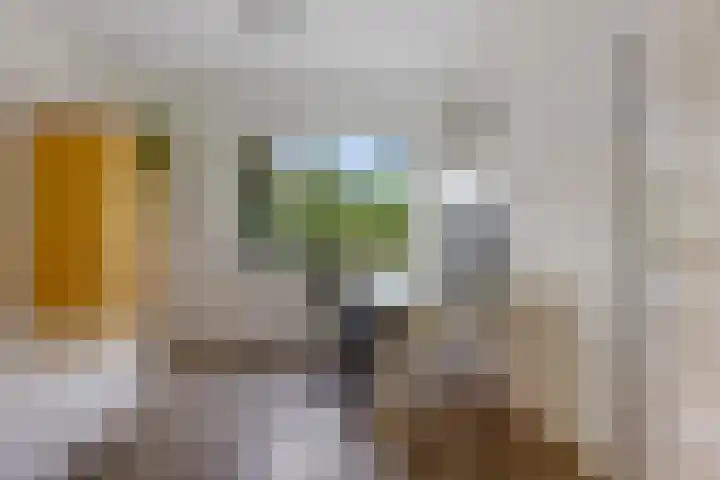 Banderschulte 9 Rolde thumbnail 35