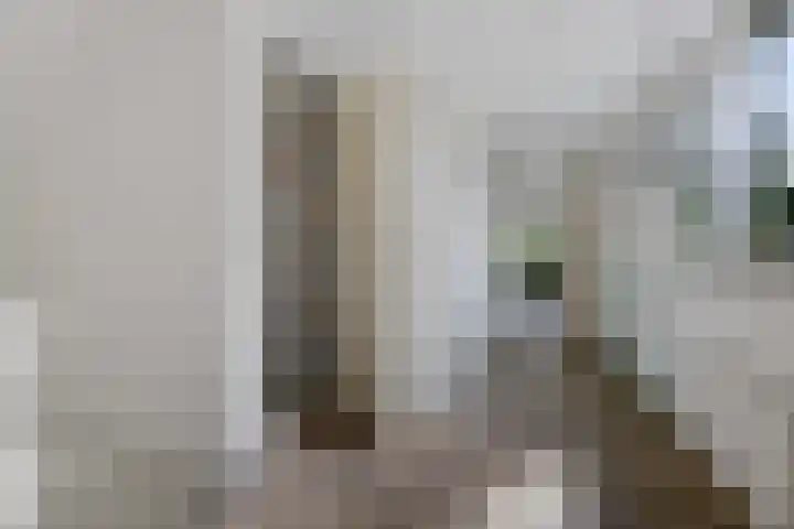 Banderschulte 9 Rolde thumbnail 39
