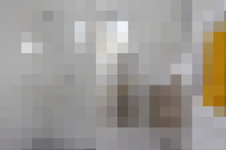 Banderschulte 9 Rolde thumbnail 40