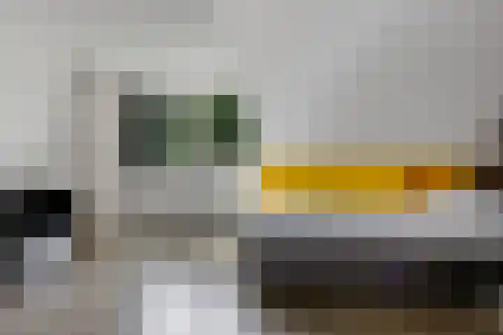 Banderschulte 9 Rolde thumbnail 45