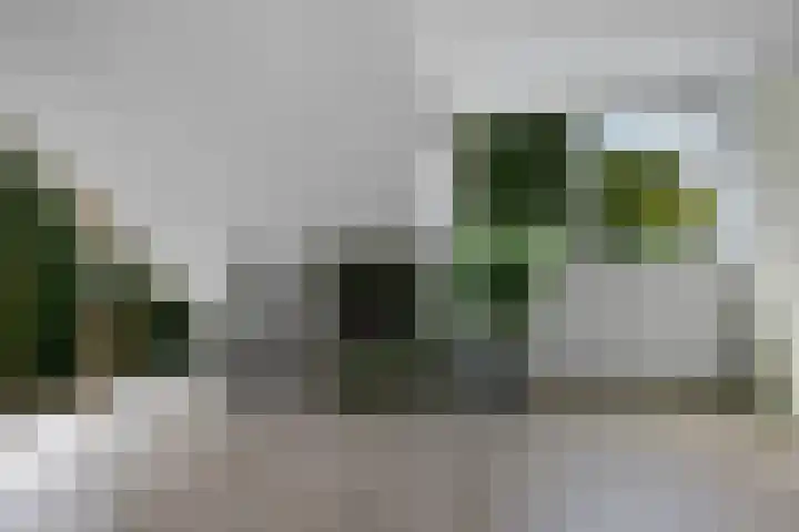 Banderschulte 9 Rolde thumbnail 48