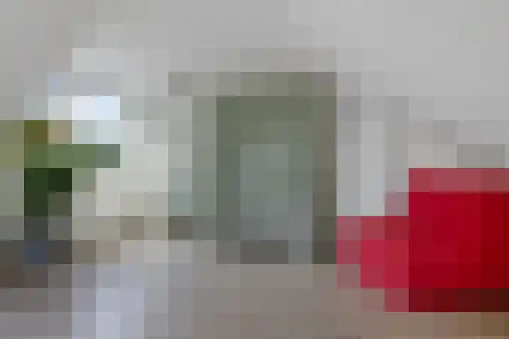 Banderschulte 9 Rolde thumbnail 49
