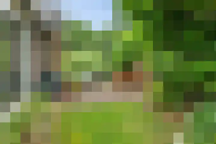 Banderschulte 9 Rolde thumbnail 51