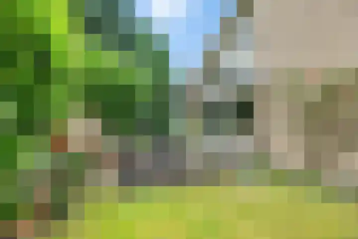 Banderschulte 9 Rolde thumbnail 52