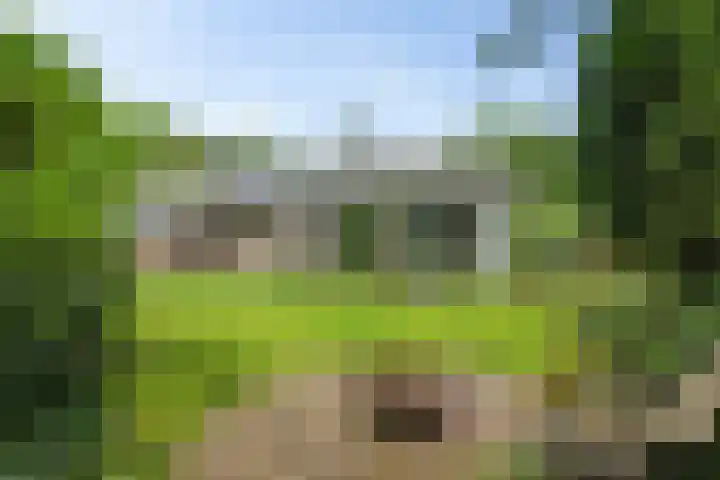 Banderschulte 9 Rolde thumbnail 55