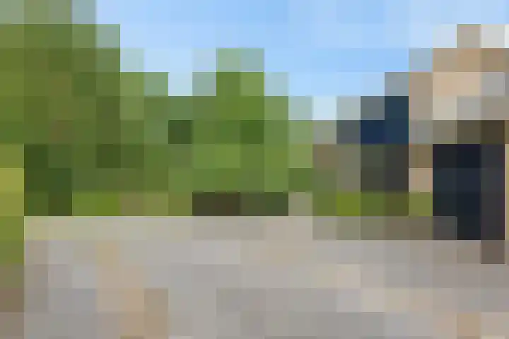 Banderschulte 9 Rolde thumbnail 60