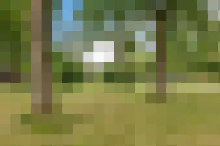 Banderschulte 9 Rolde thumbnail 64