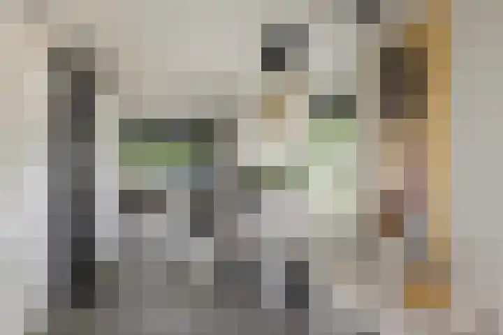 Bandhaak 10 Papendrecht thumbnail 11