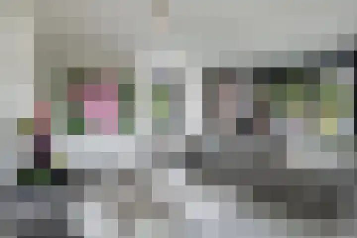 Bandhaak 10 Papendrecht thumbnail 12