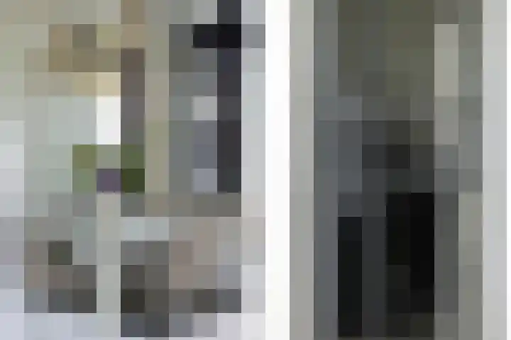 Bandhaak 10 Papendrecht thumbnail 17