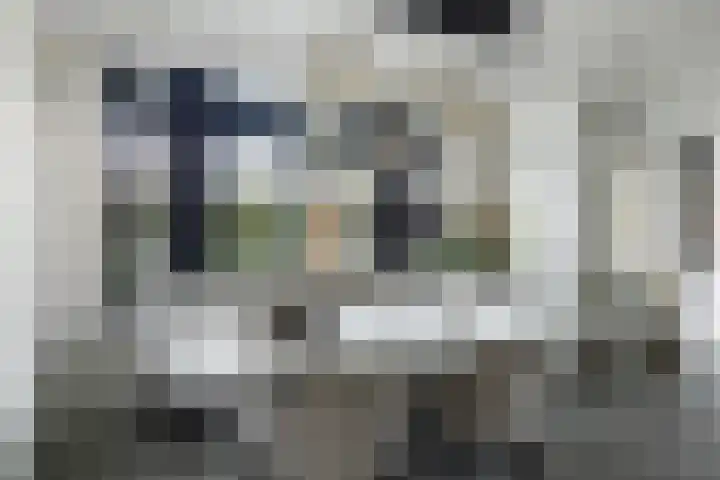Bandhaak 10 Papendrecht thumbnail 20
