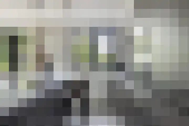 Bandhaak 10 Papendrecht thumbnail 21