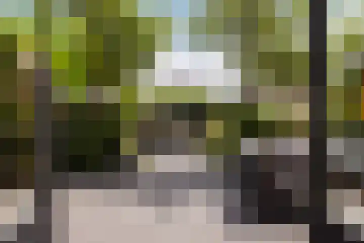 Bandhaak 10 Papendrecht thumbnail 28