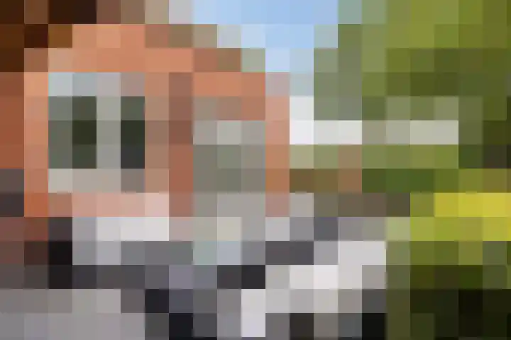 Bandhaak 10 Papendrecht thumbnail 30