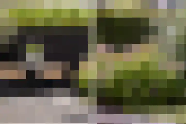 Bandhaak 10 Papendrecht thumbnail 31