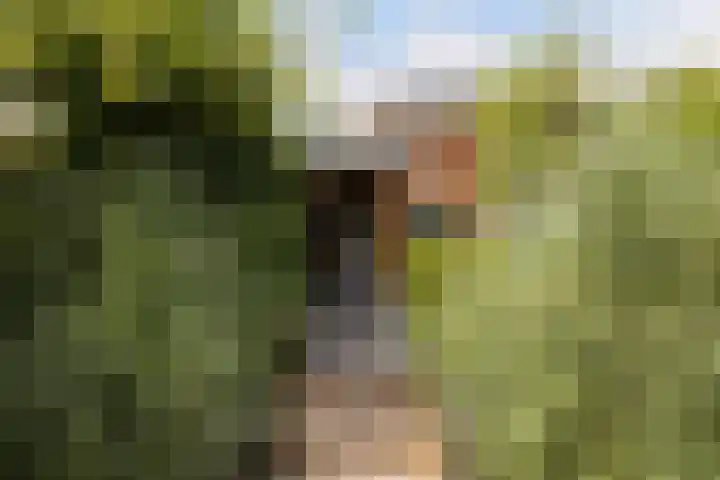 Bandhaak 10 Papendrecht thumbnail 32