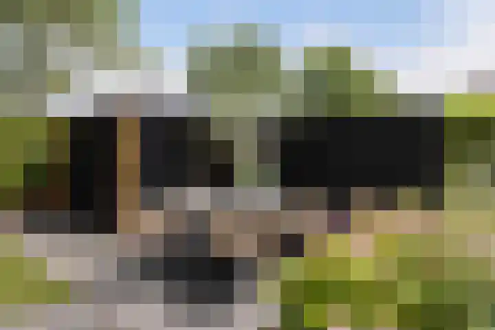 Bandhaak 10 Papendrecht thumbnail 33