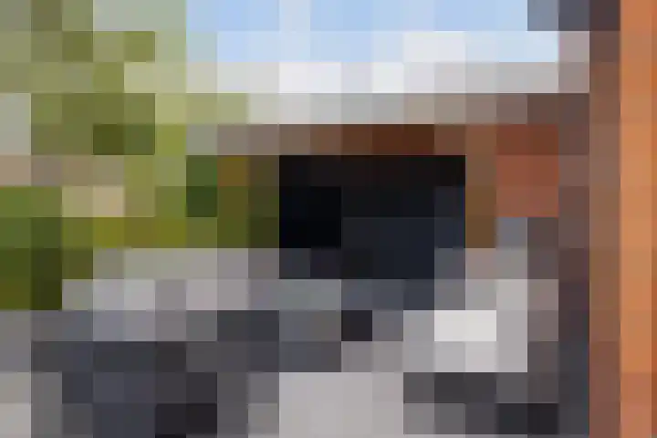 Bandhaak 10 Papendrecht thumbnail 35