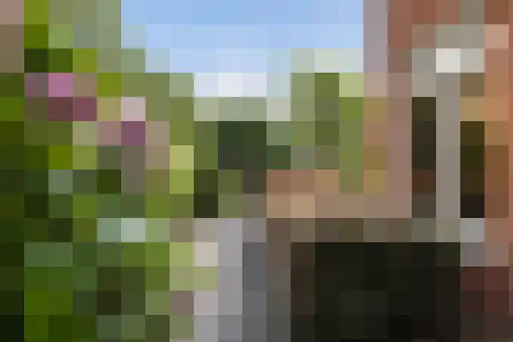 Bandhaak 10 Papendrecht thumbnail 37