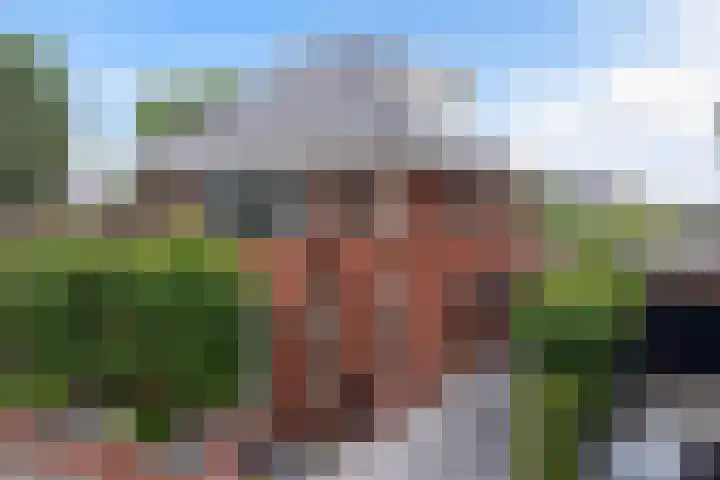 Bandhaak 10 Papendrecht thumbnail 4
