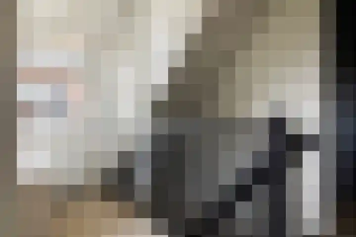 Bandhaak 10 Papendrecht thumbnail 41