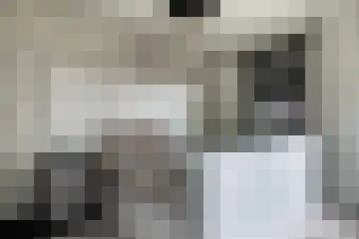 Bandhaak 10 Papendrecht thumbnail 44