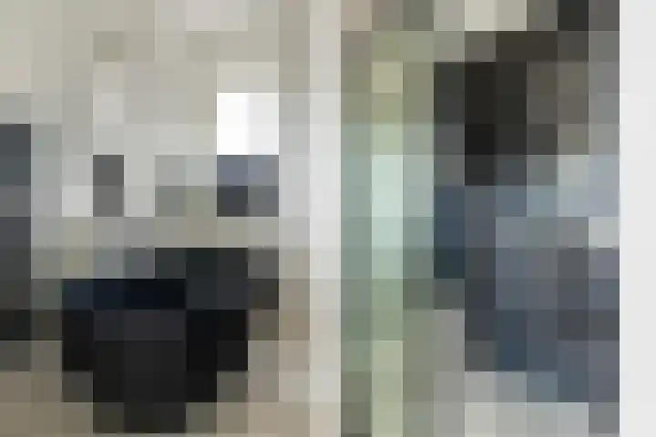 Bandhaak 10 Papendrecht thumbnail 47